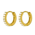 Biojoux Orecchini BJT 991 Crystal hoop