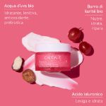 Caudalie VinoHydra Crema Idratazione Intensa 50ml